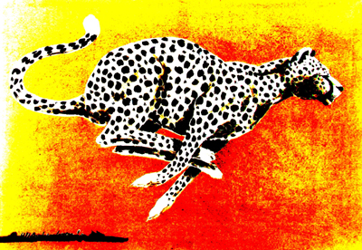 Bild Laufender Gepard von Uli Aschenborn
